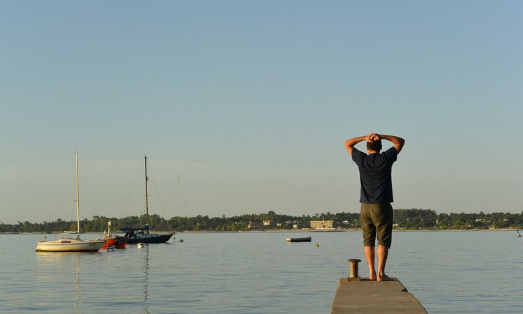 mare