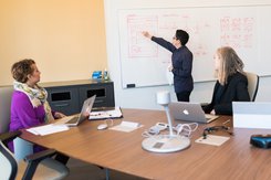 software architect