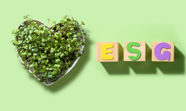 esg rating