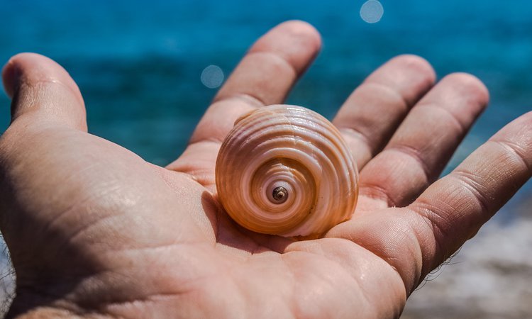 Luglio
