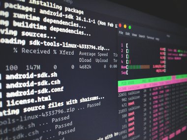 junior backend developer